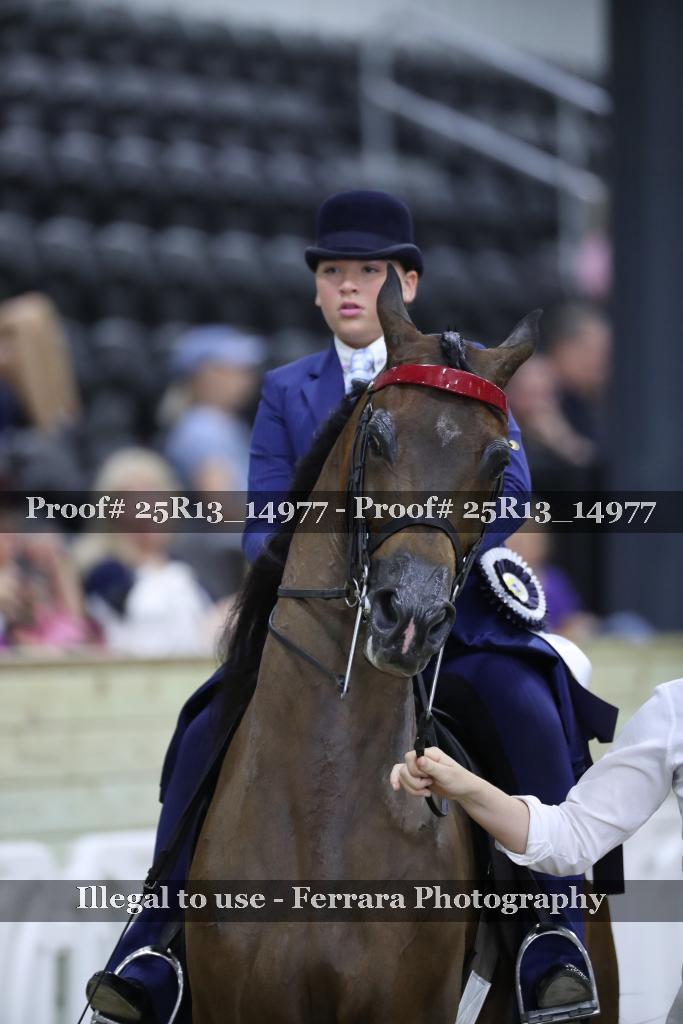 Proof Number 25R13_14977