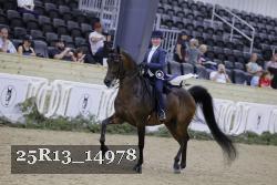 25R13_14978 thumbnail