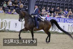 25R13_14979 thumbnail