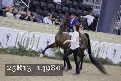 25R13_14980 thumbnail