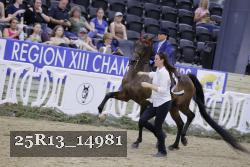 25R13_14981 thumbnail
