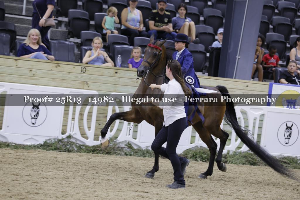 Proof Number 25R13_14982