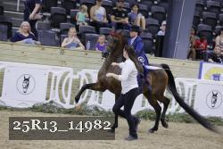 25R13_14982 thumbnail