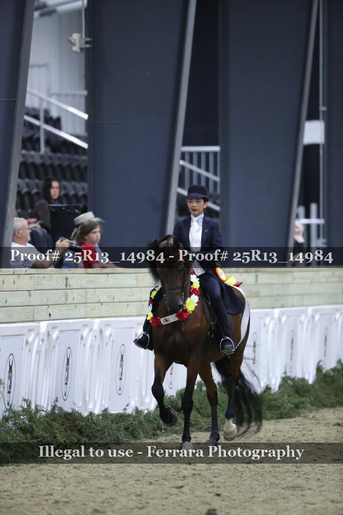 Proof Number 25R13_14984