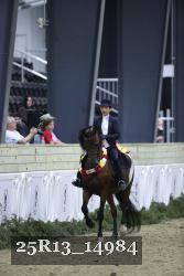 25R13_14984 thumbnail