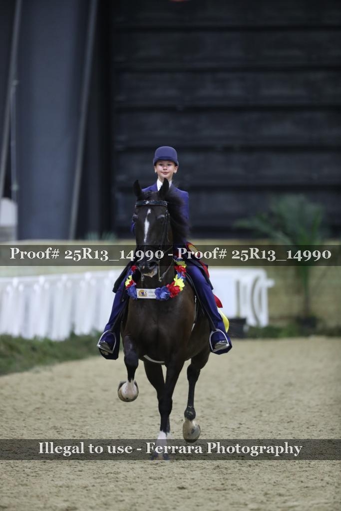 Proof Number 25R13_14990