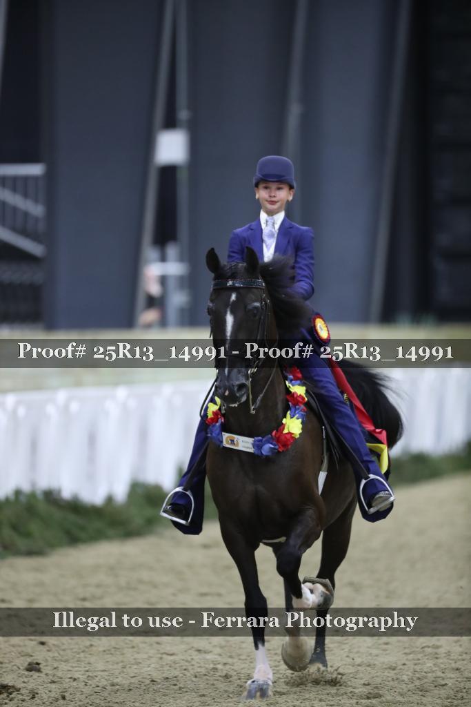 Proof Number 25R13_14991