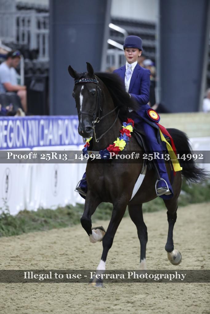Proof Number 25R13_14992