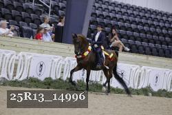 25R13_14996 thumbnail