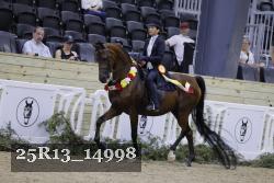 25R13_14998 thumbnail