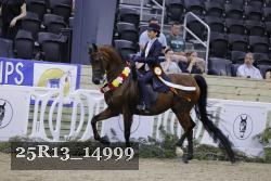 25R13_14999 thumbnail