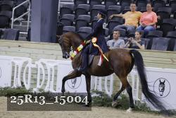 25R13_15004 thumbnail