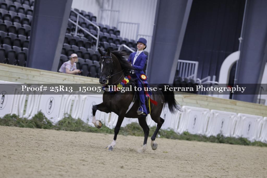 Proof Number 25R13_15005
