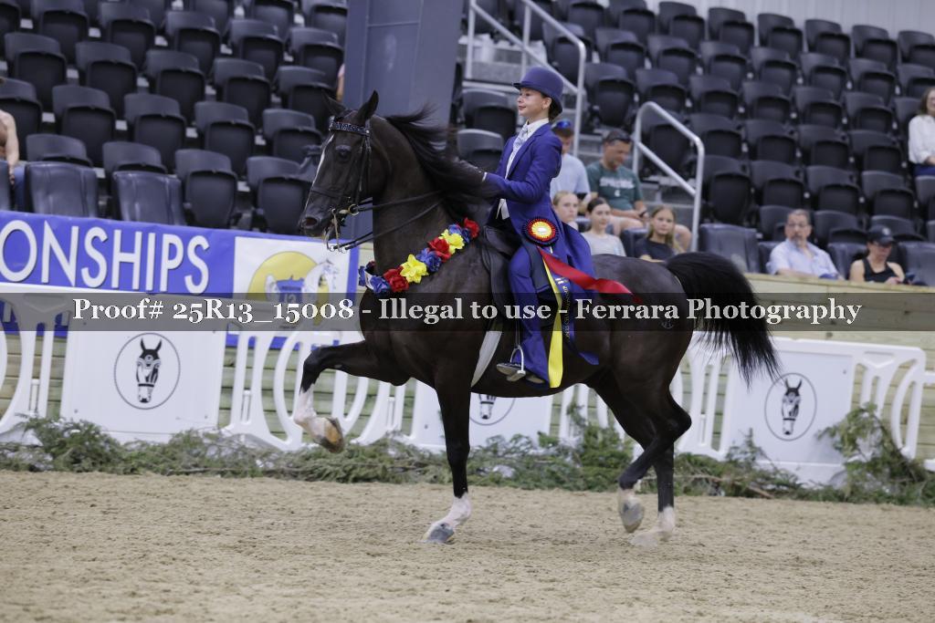 Proof Number 25R13_15008
