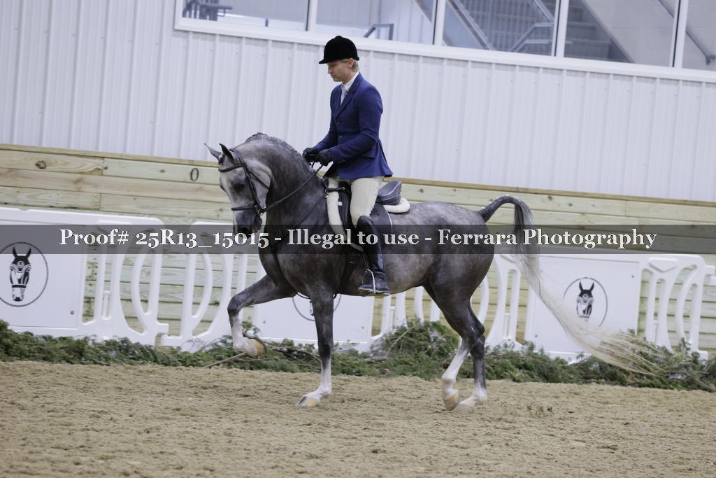 Proof Number 25R13_15015