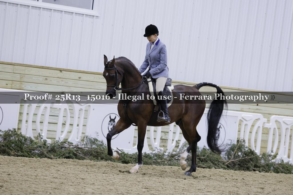 Proof Number 25R13_15016