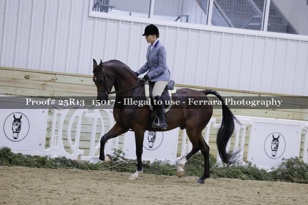 Proof Number 25R13_15017