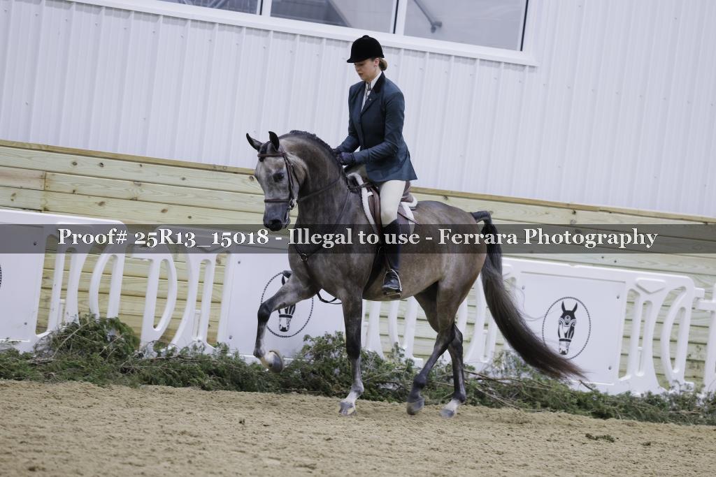 Proof Number 25R13_15018
