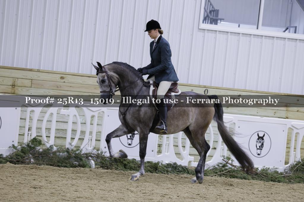 Proof Number 25R13_15019