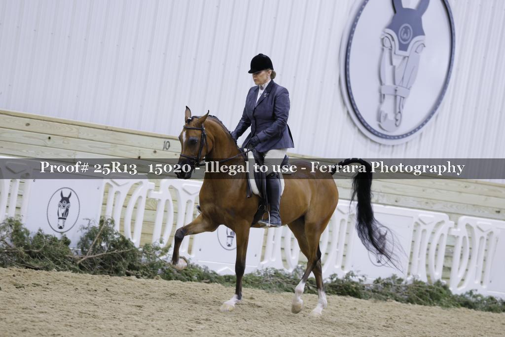 Proof Number 25R13_15020