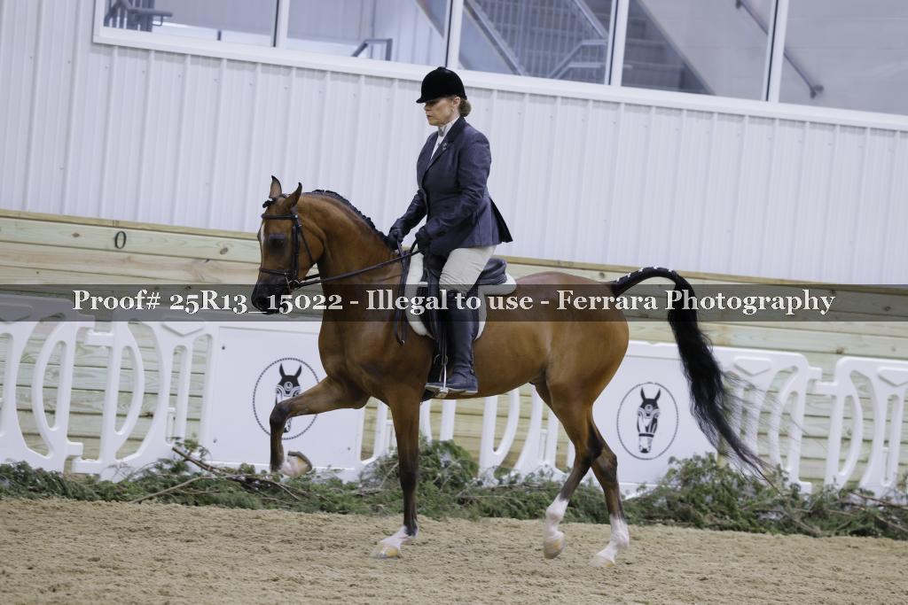 Proof Number 25R13_15022