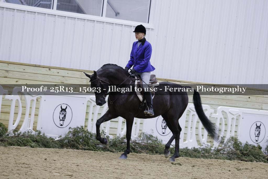 Proof Number 25R13_15023