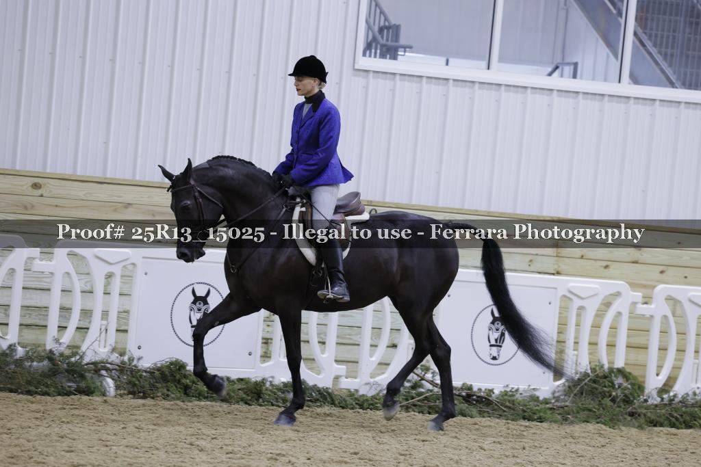 Proof Number 25R13_15025
