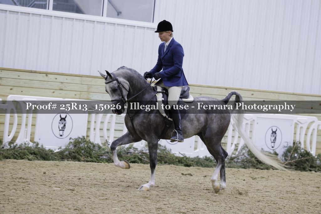 Proof Number 25R13_15026