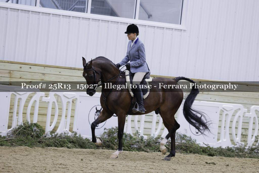 Proof Number 25R13_15027
