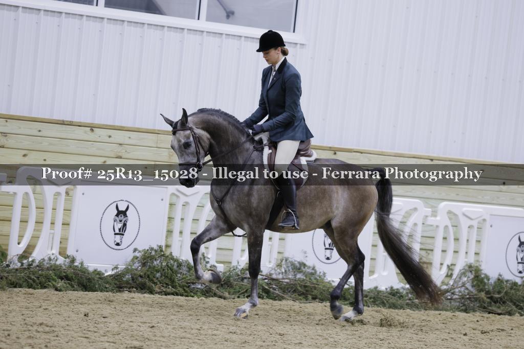 Proof Number 25R13_15028