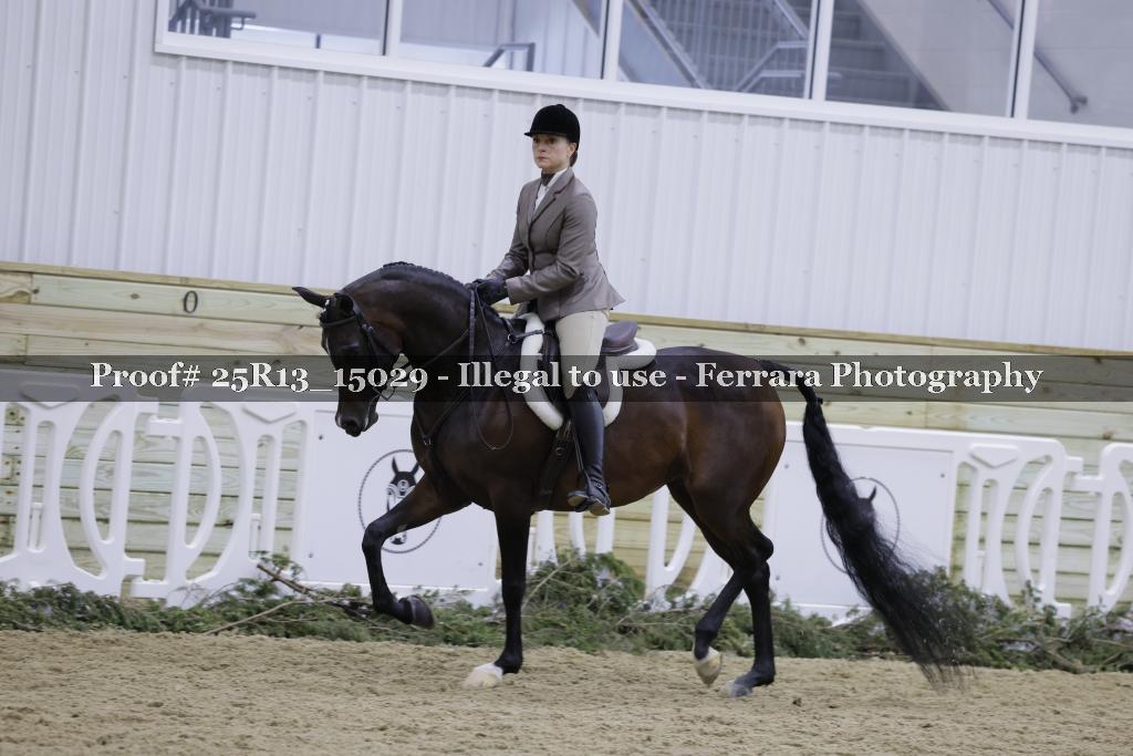 Proof Number 25R13_15029