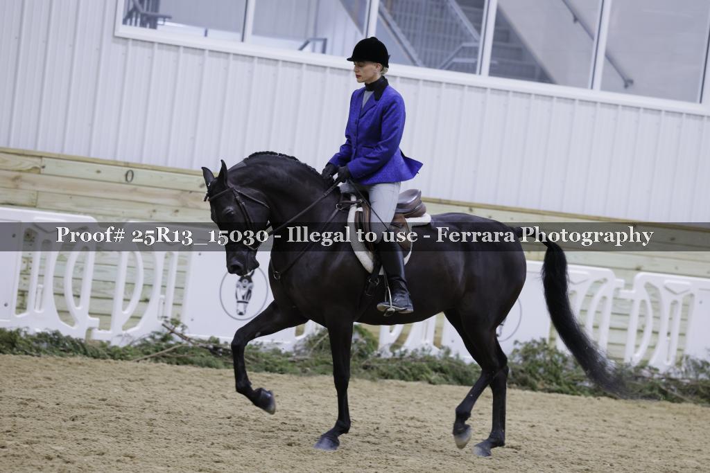 Proof Number 25R13_15030