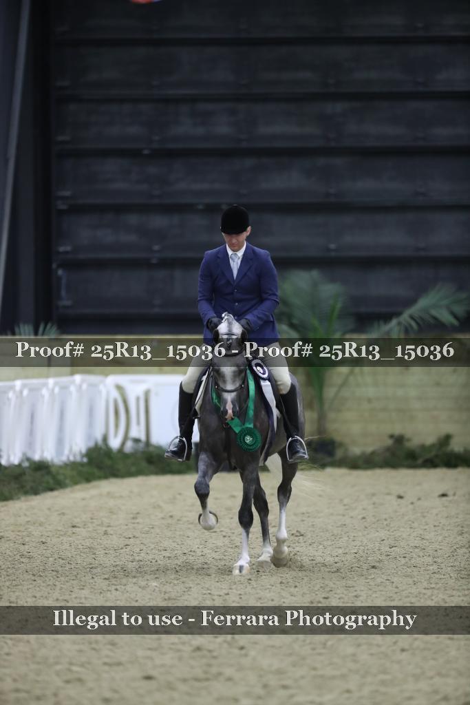 Proof Number 25R13_15036