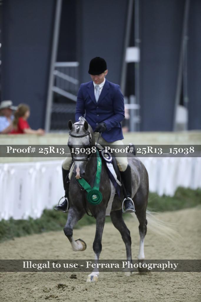 Proof Number 25R13_15038