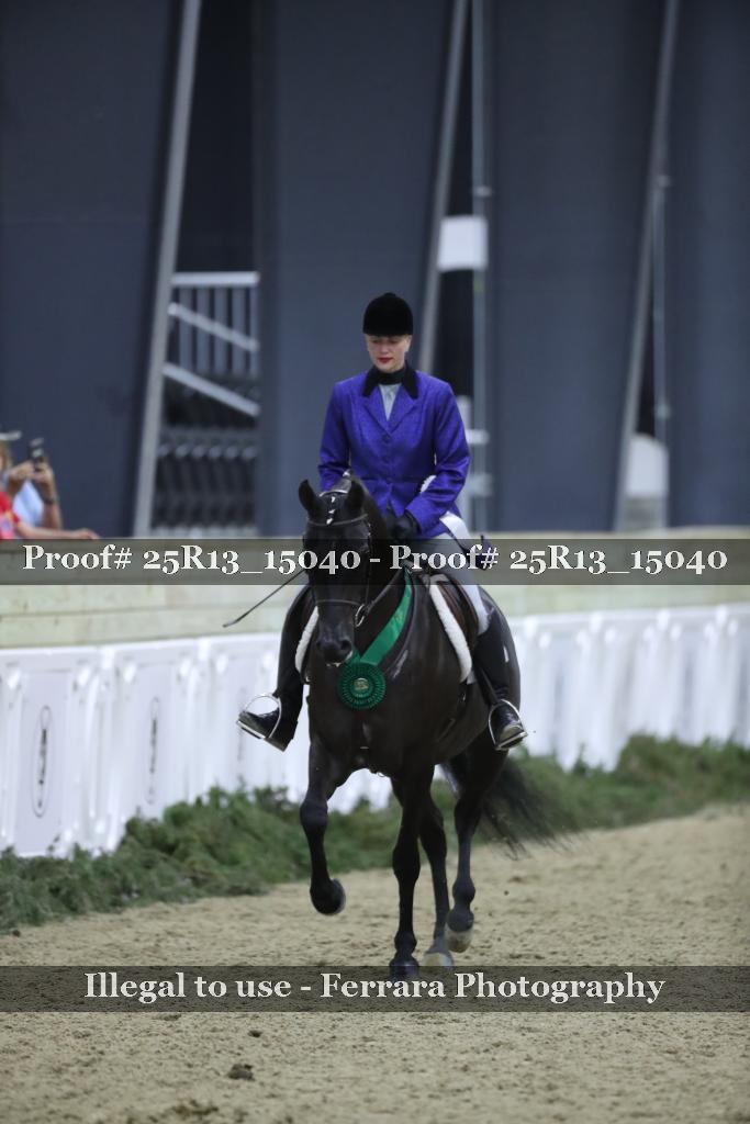 Proof Number 25R13_15040