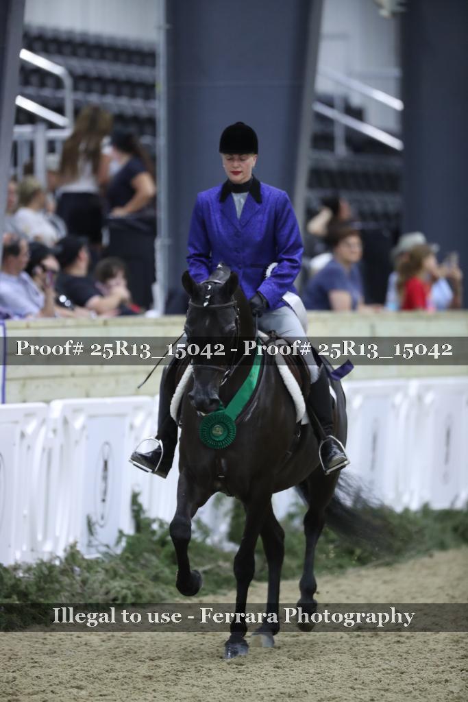 Proof Number 25R13_15042