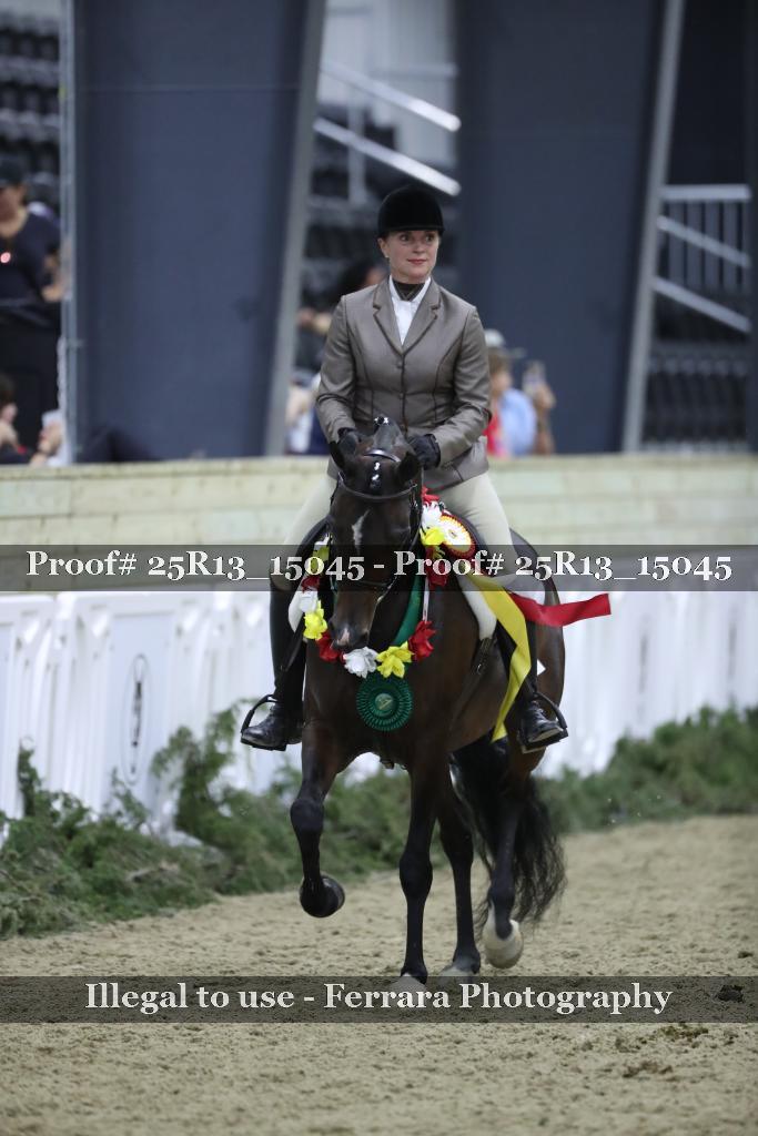 Proof Number 25R13_15045