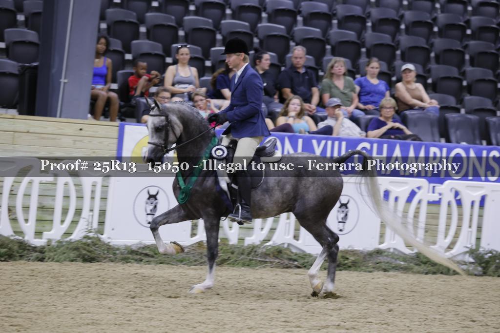 Proof Number 25R13_15050