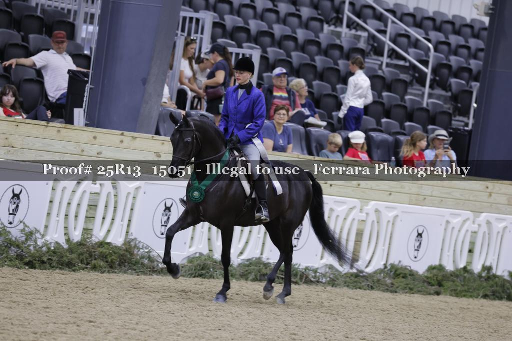Proof Number 25R13_15051