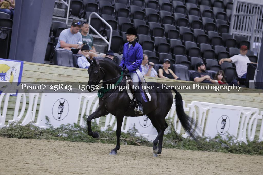 Proof Number 25R13_15052