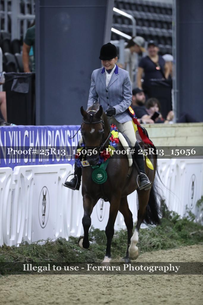 Proof Number 25R13_15056