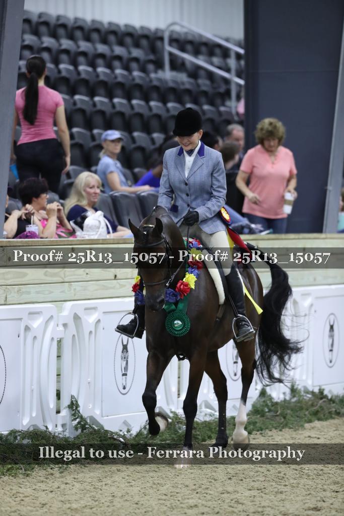Proof Number 25R13_15057