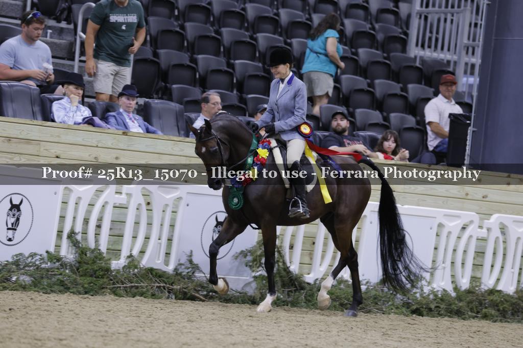 Proof Number 25R13_15070