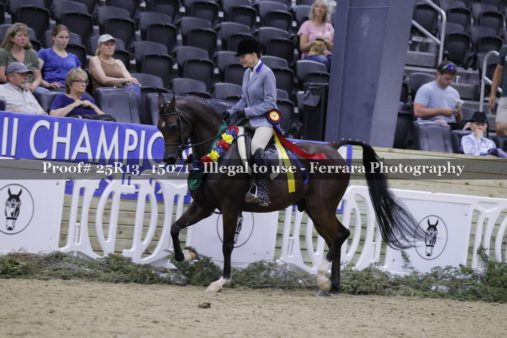 Proof Number 25R13_15071