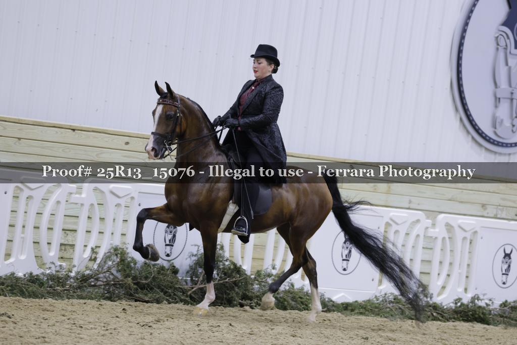 Proof Number 25R13_15076