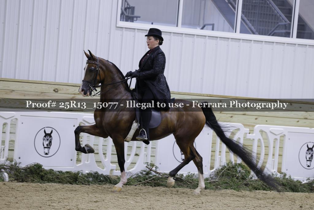 Proof Number 25R13_15077