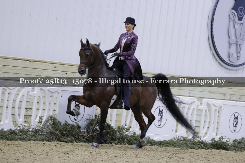 Proof Number 25R13_15078