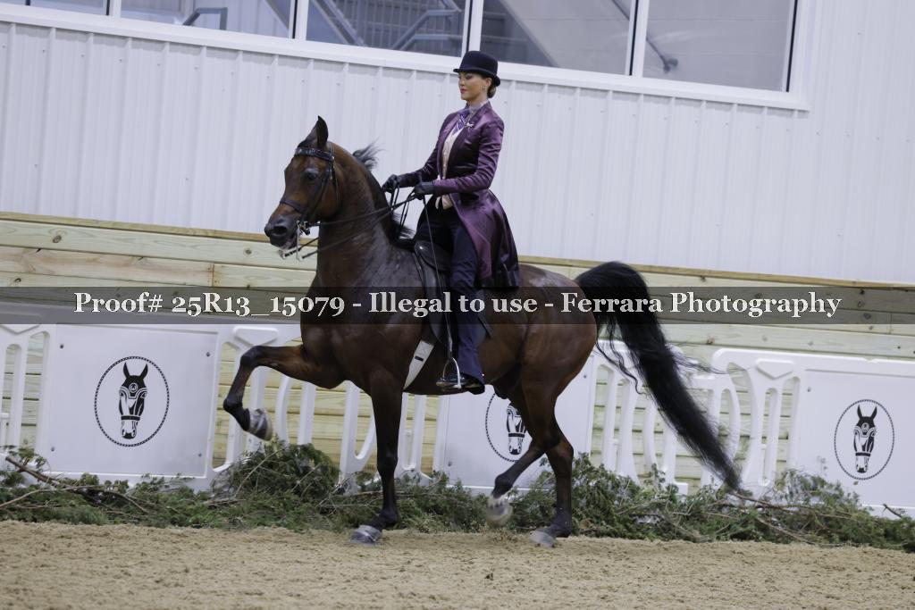 Proof Number 25R13_15079