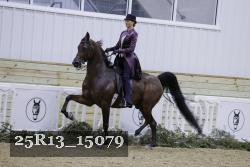 25R13_15079 thumbnail