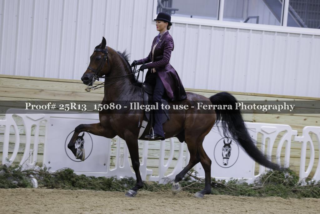 Proof Number 25R13_15080